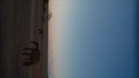 Squeezed anamorphic photo from Sirui lens